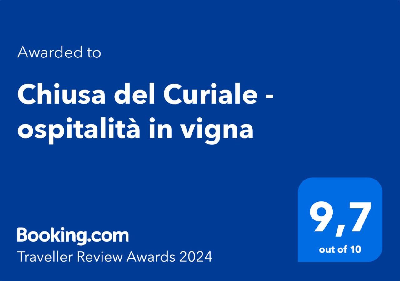 Chiusa del Curiale - ospitalità in vigna view 2