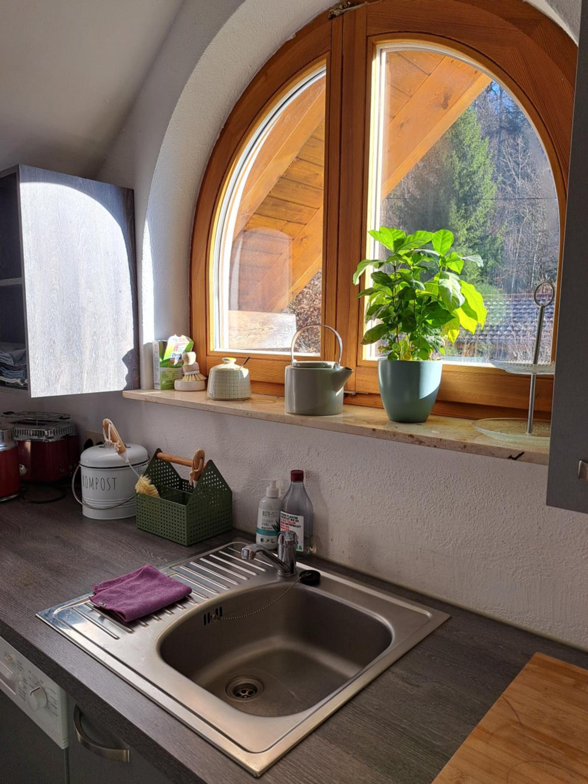 Gemütliche Waldrandlage in Badenweiler Sehringen Ferienwohnung