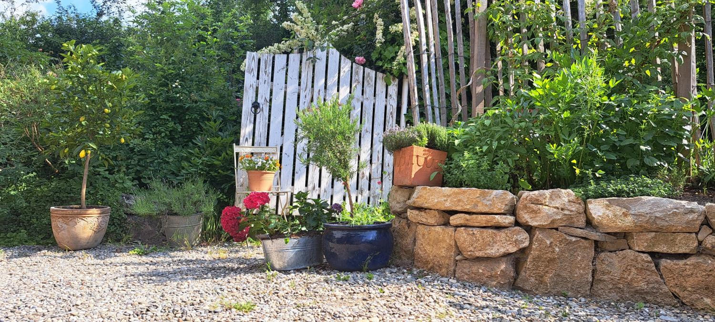 Gemütliche Waldrandlage in Badenweiler Sehringen Ferienwohnung