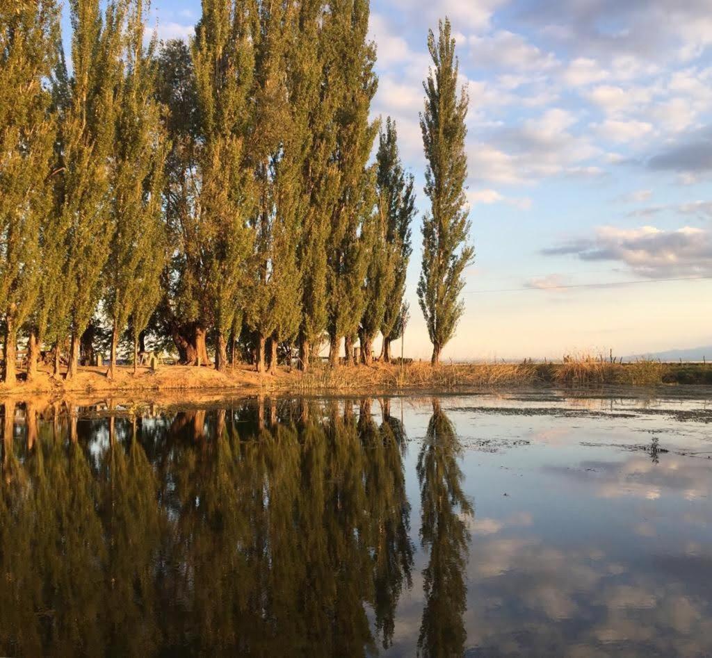 Finca La Pichona