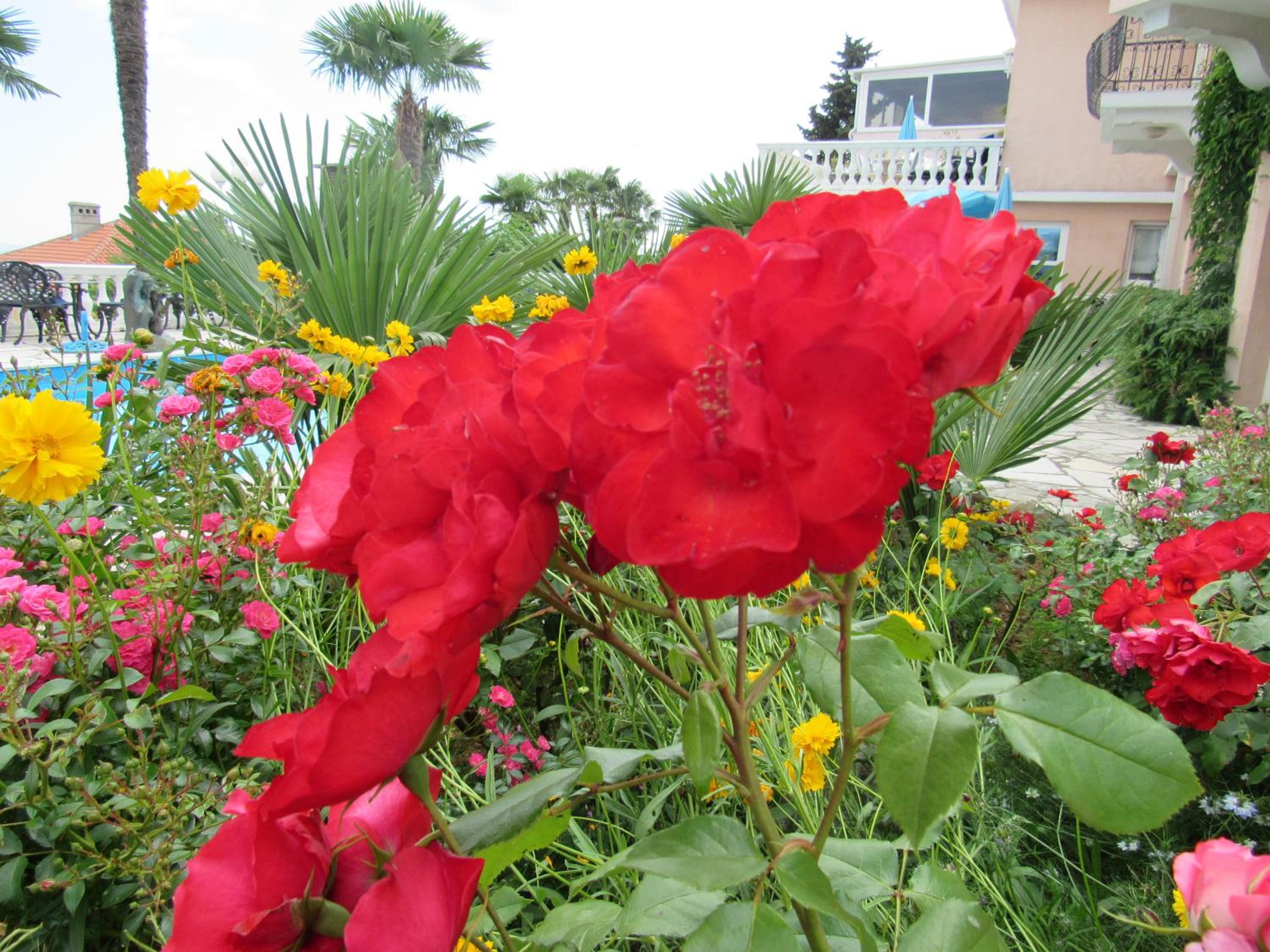 Photo 25