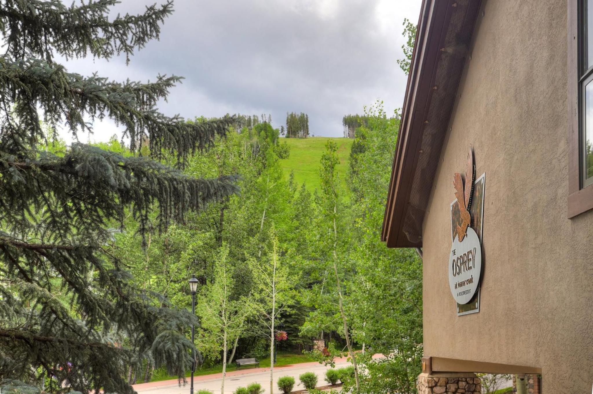 The Osprey at Beaver Creek, a RockResort - Property Image 79