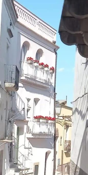 Casa San Vito