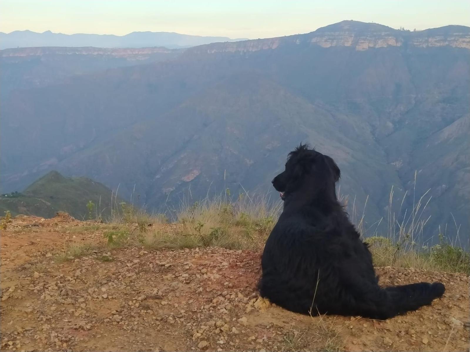 Cabañas Cañon Del Chicamocha