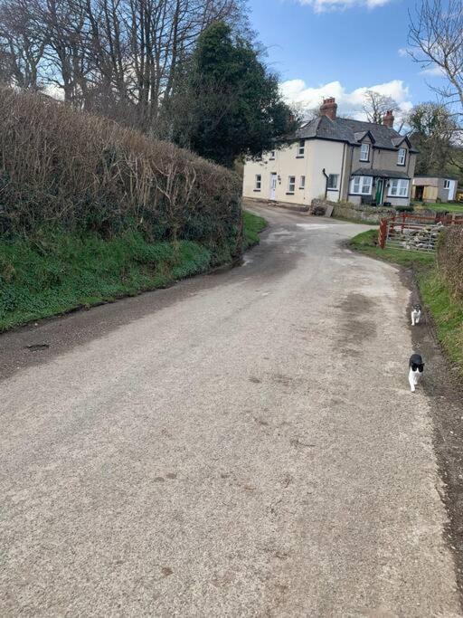 Cosy Two Bedroom Cottage with Fireplace, photo 23