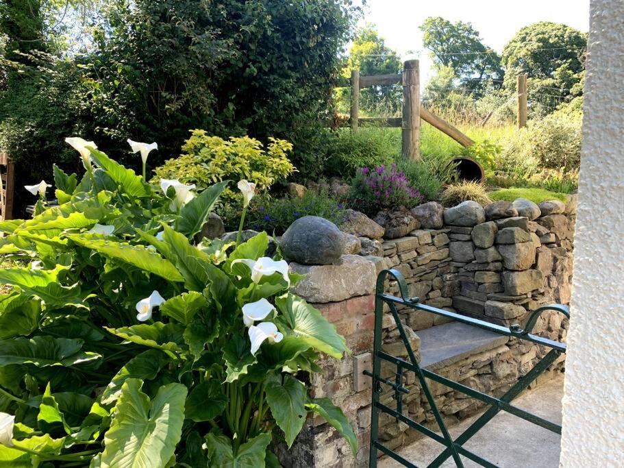 Cosy Two Bedroom Cottage with Fireplace