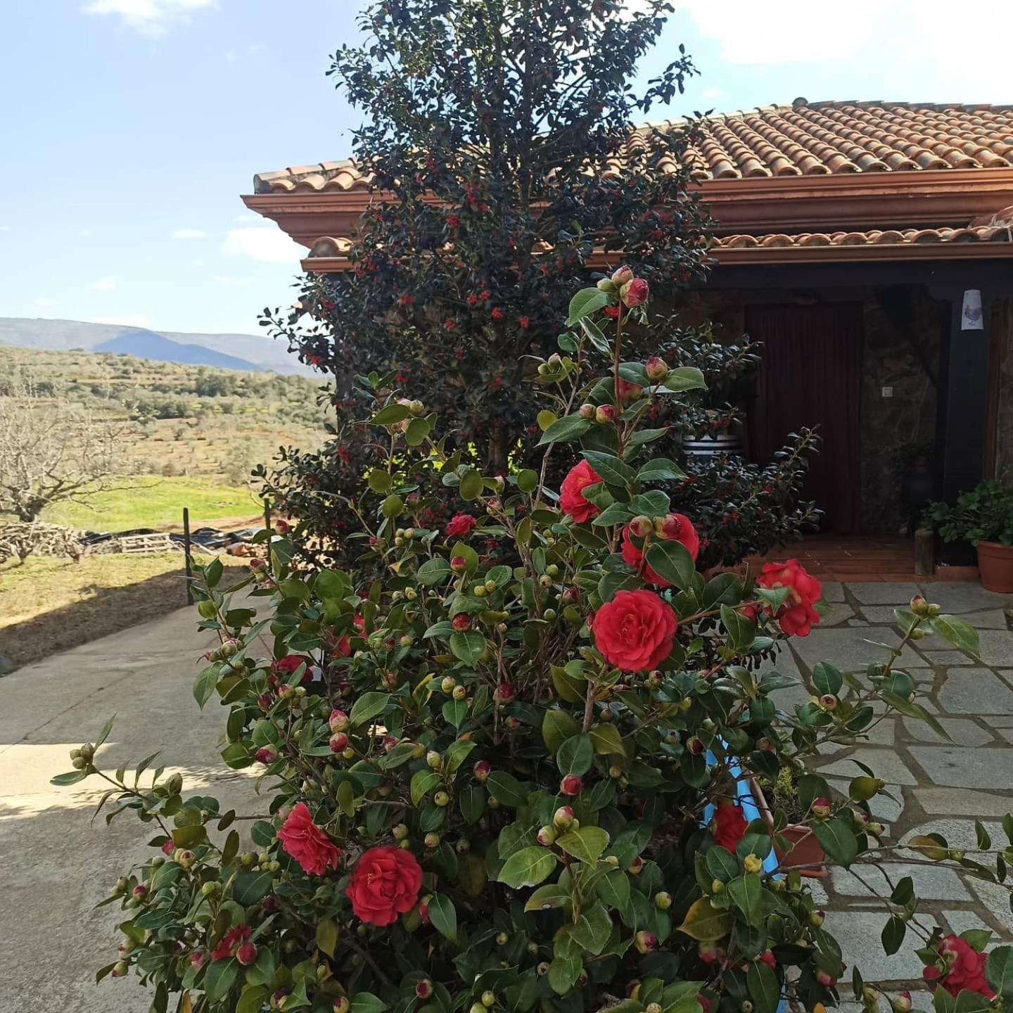 Casa Rural Los Olivos view 2