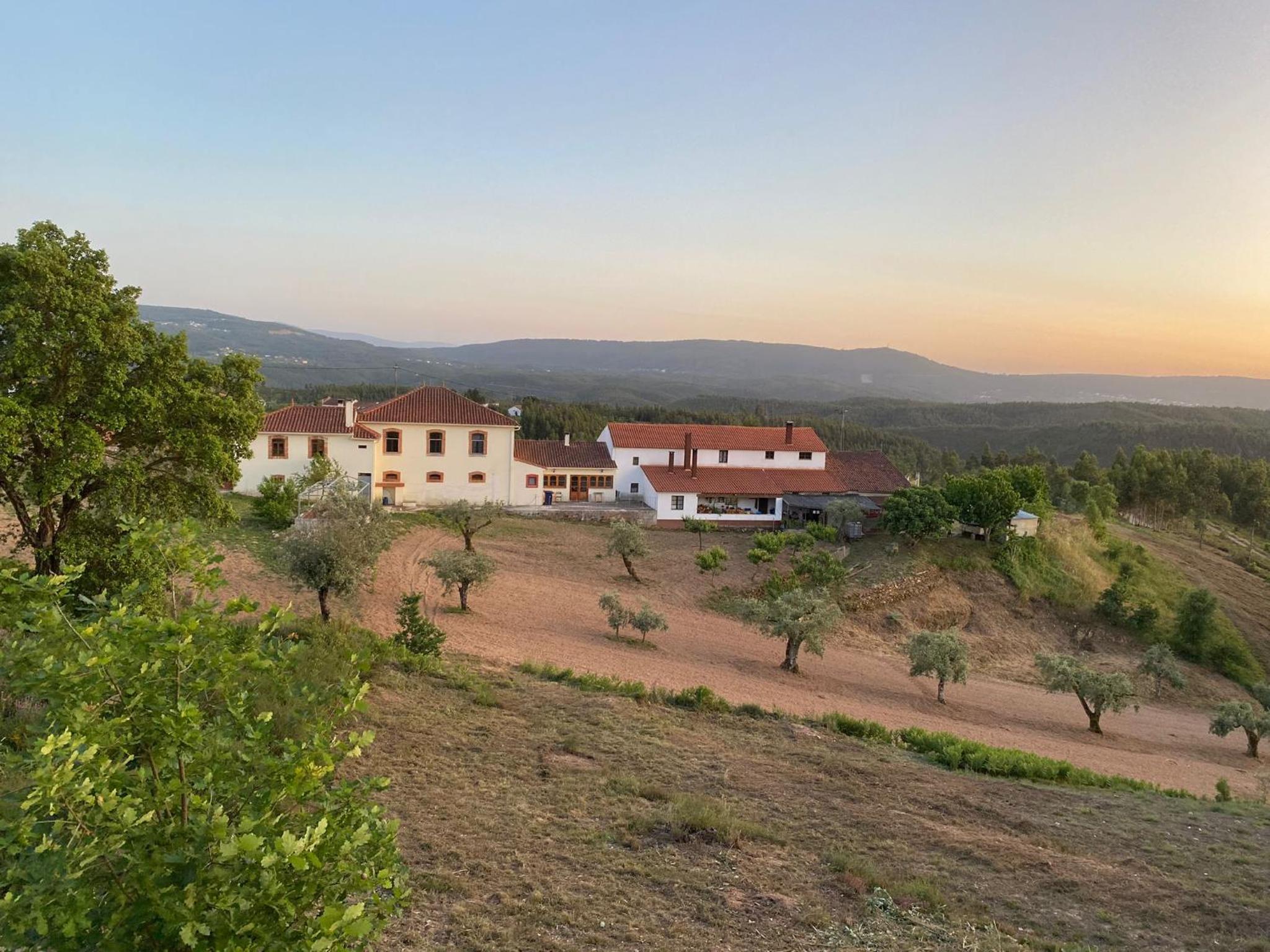 A Casa Amarela Guesthouse - Property Image 3