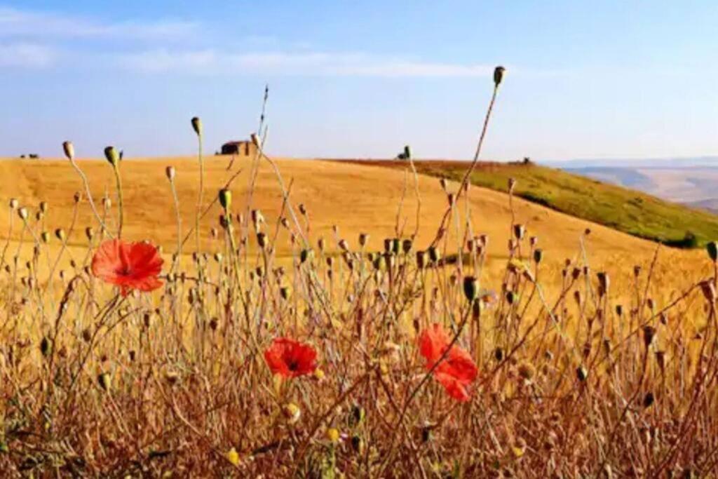 La Casetta