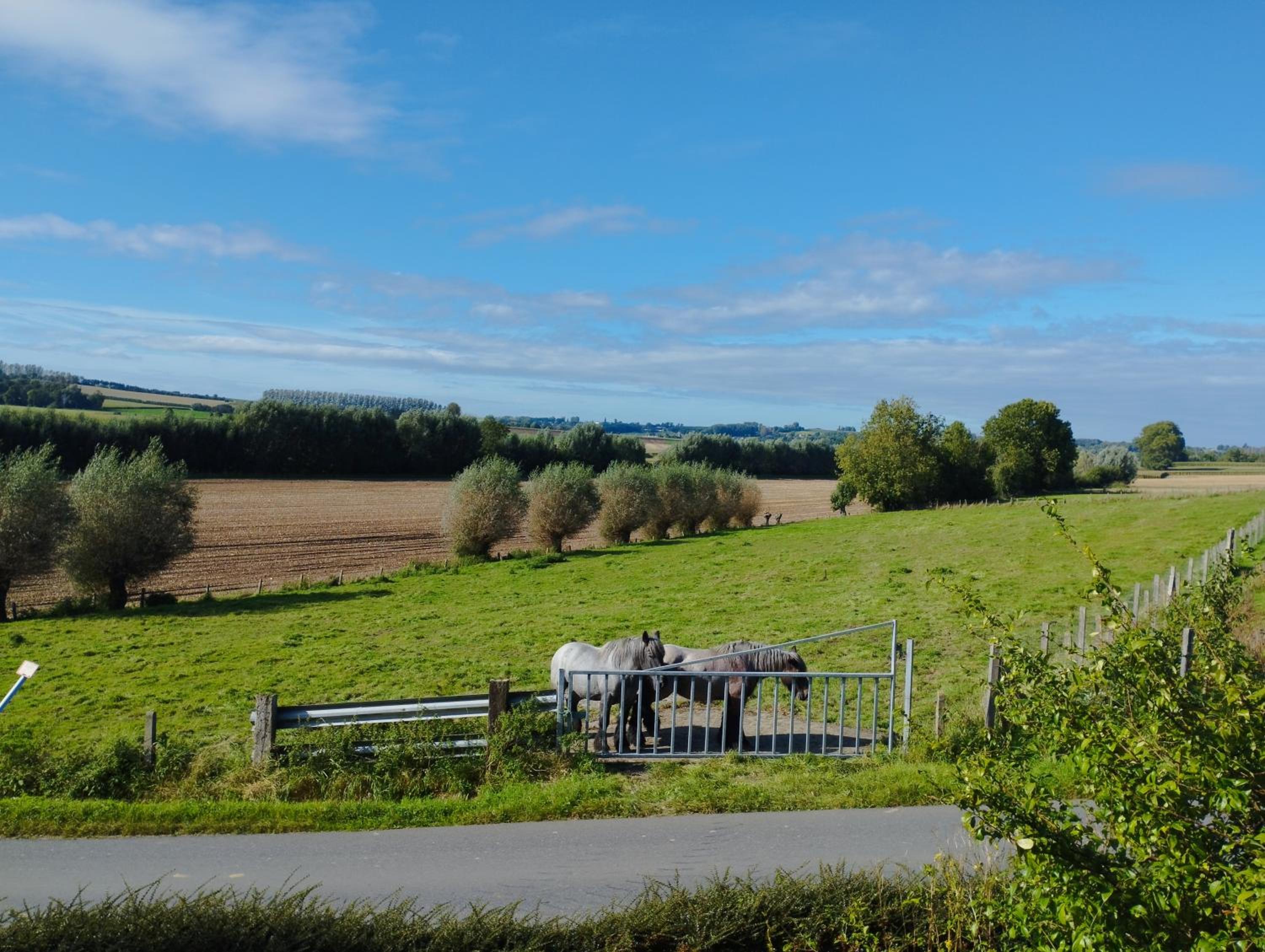 Vakantiehuis 't Leideveld