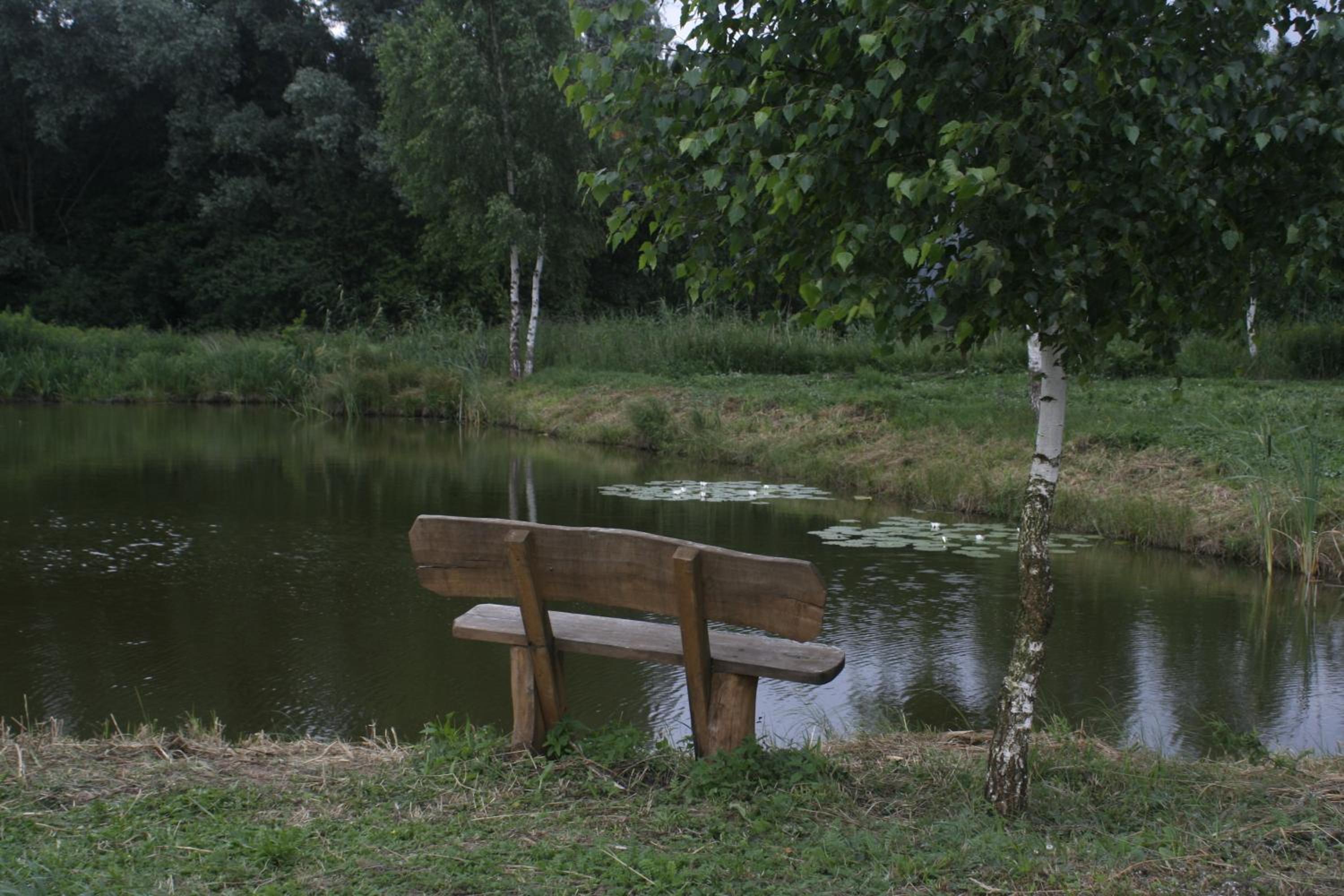 Photo 34