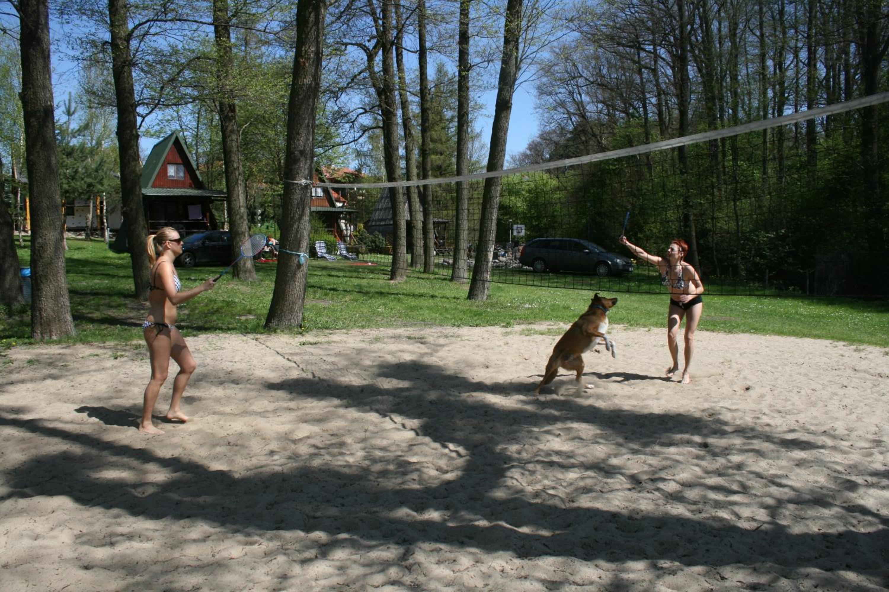 Photo 42