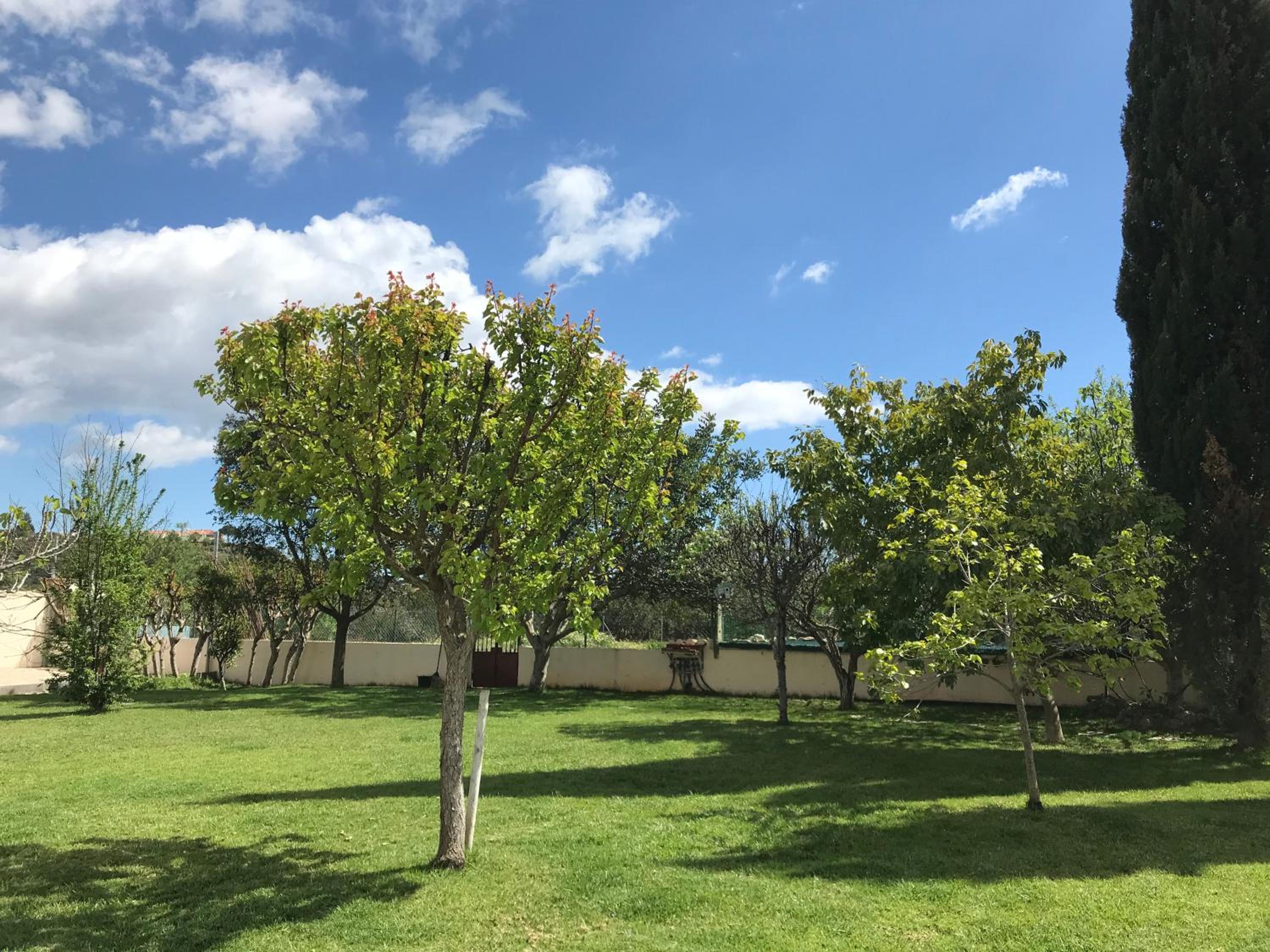 Photo 75