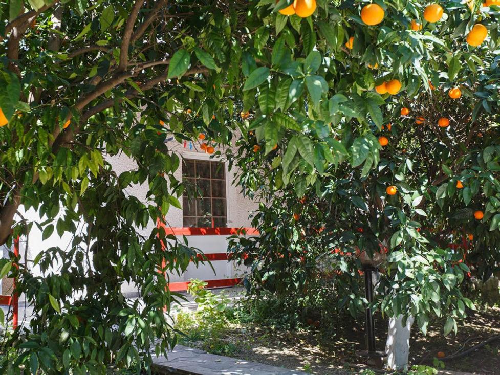 CottonClub Villas