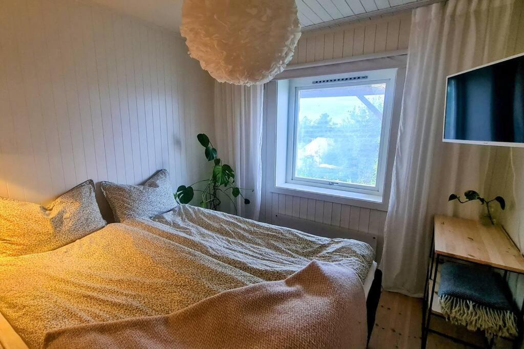 Cosy Holiday Apt Close to Gondola and Town Center