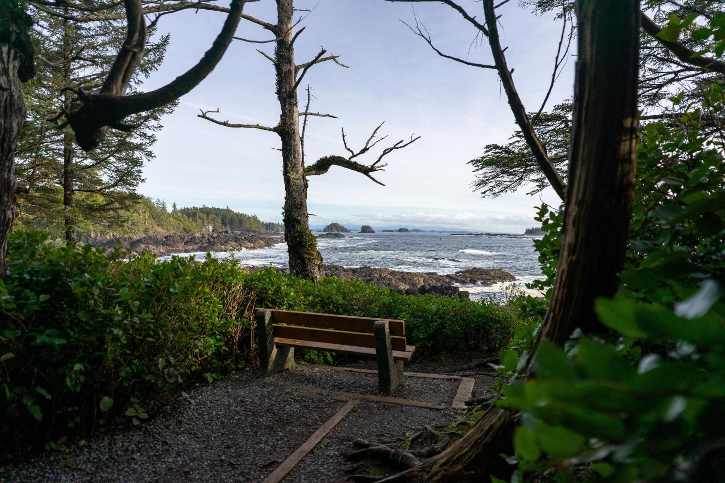 Waterfront Condo in Ucluelet