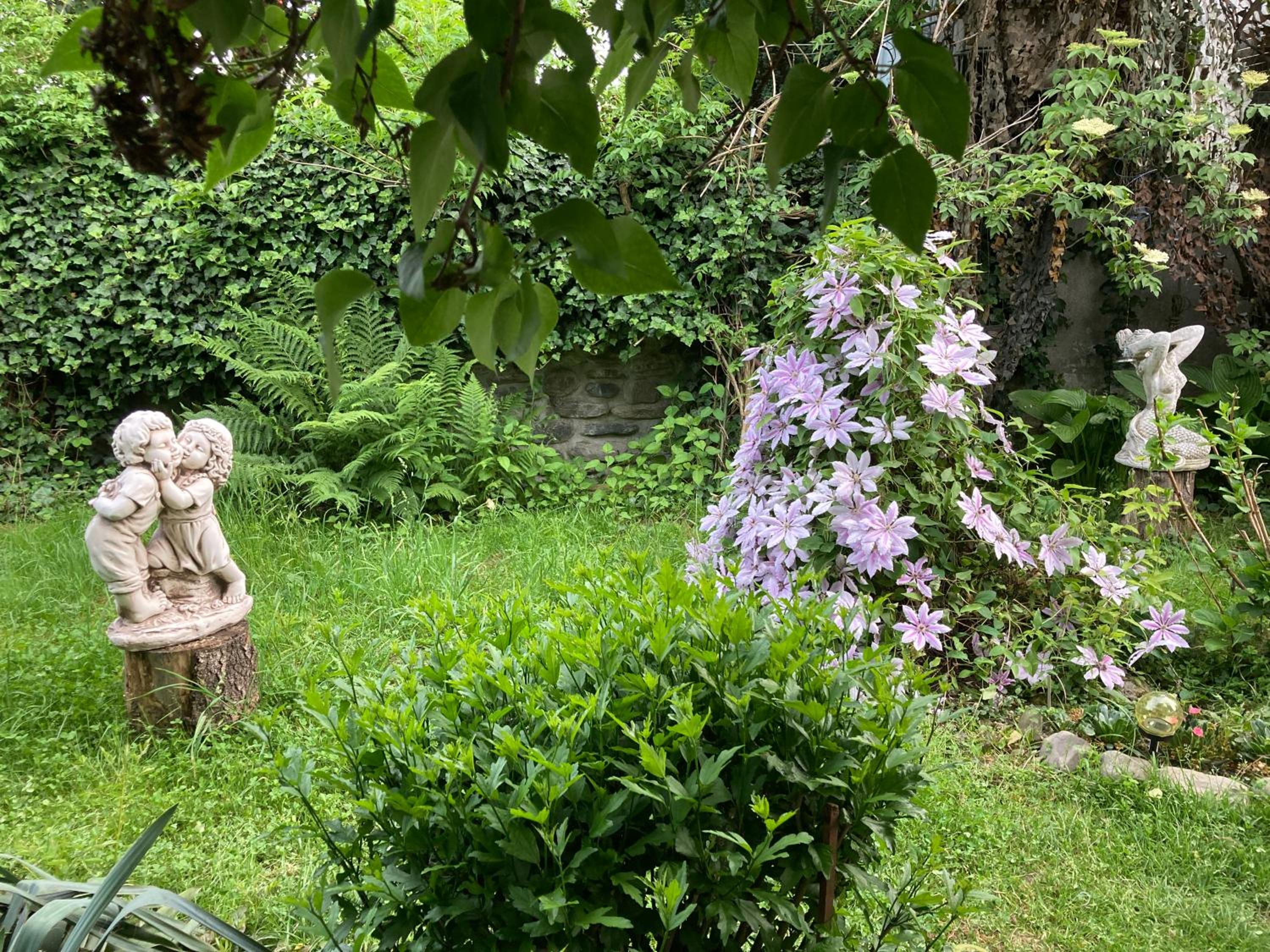 Photo 11