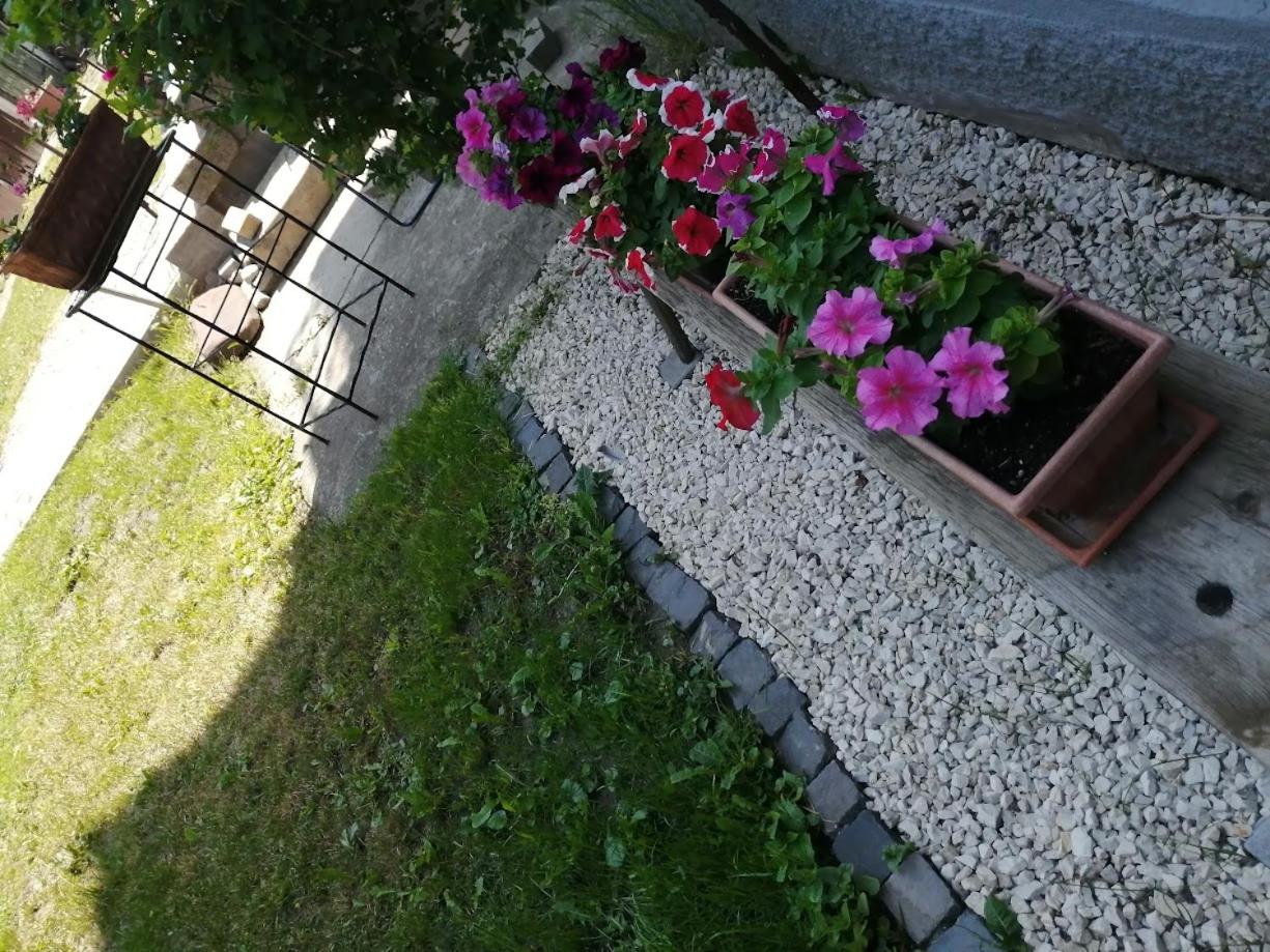Photo 53