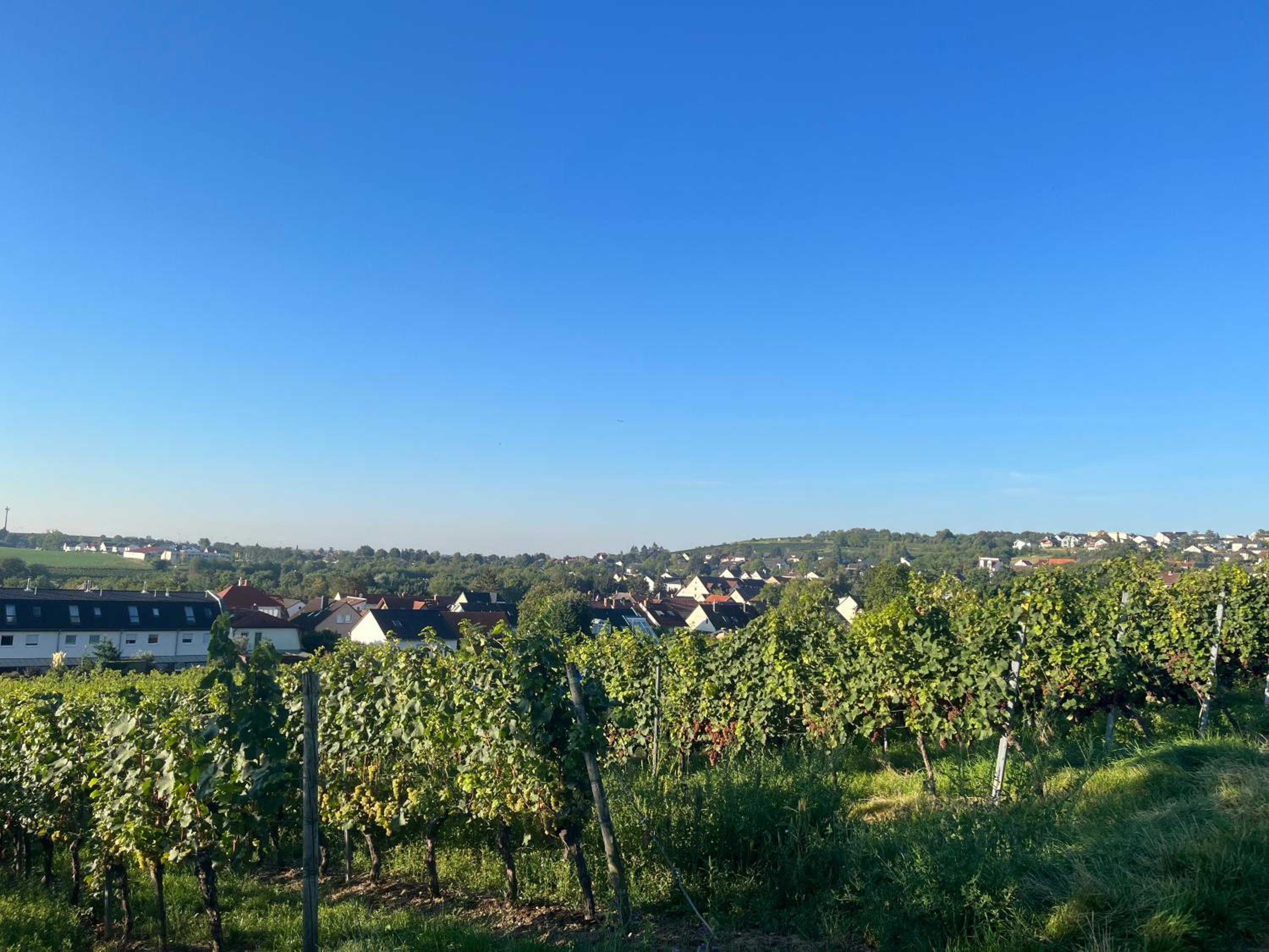 Ferienwohnung im Geyserhof