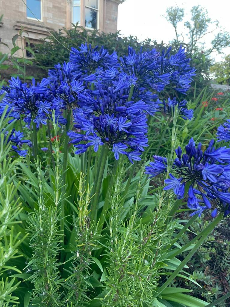 Photo 47