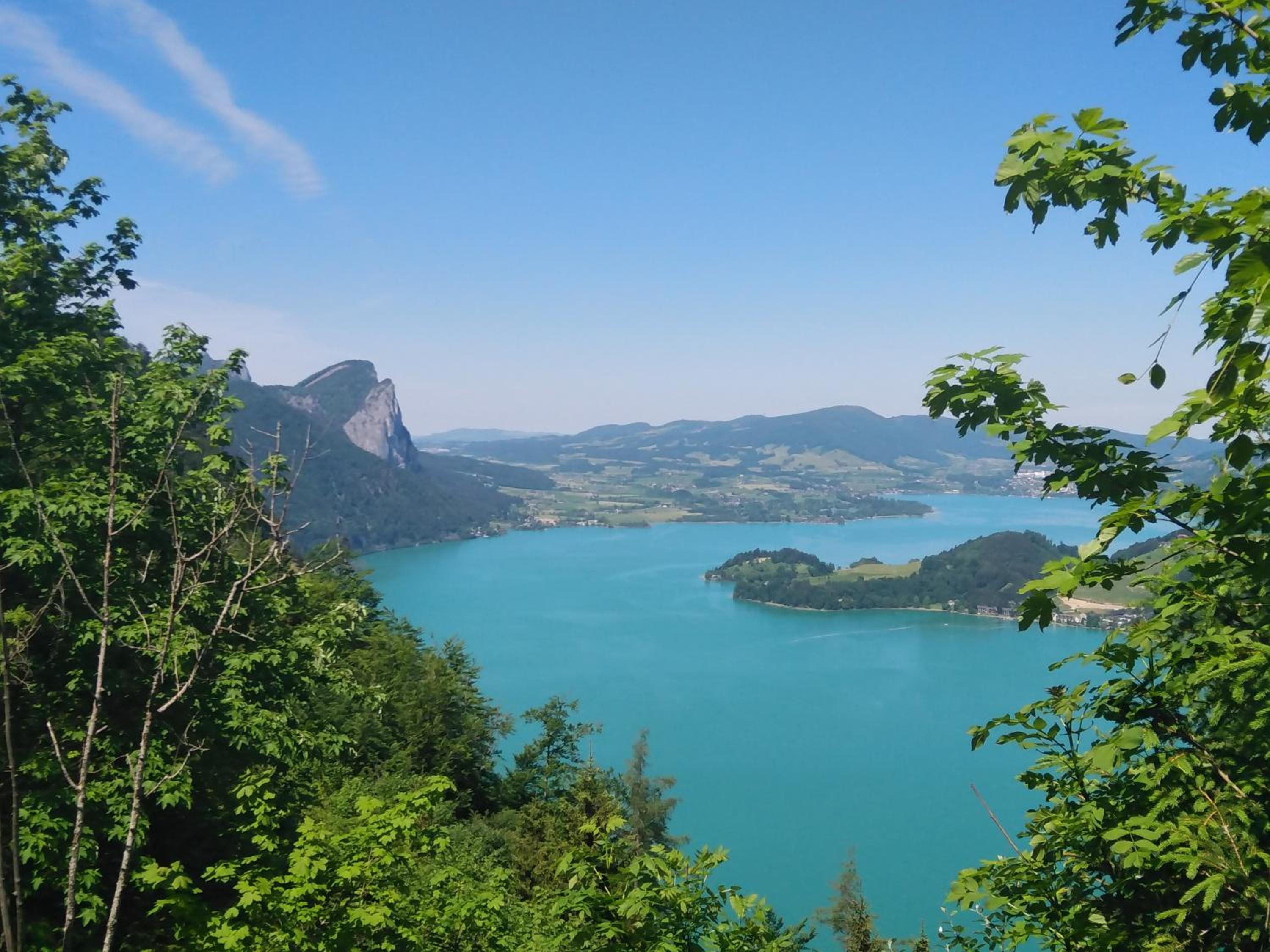 Seestern Strobl