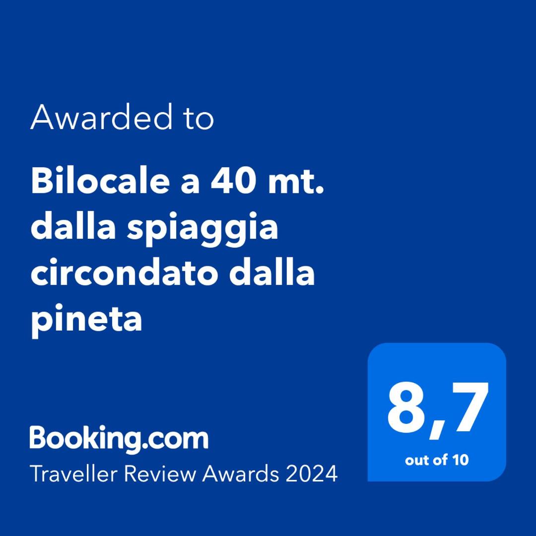 Bilocale a 40 mt. dalla spiaggia circondato dalla pineta view 2
