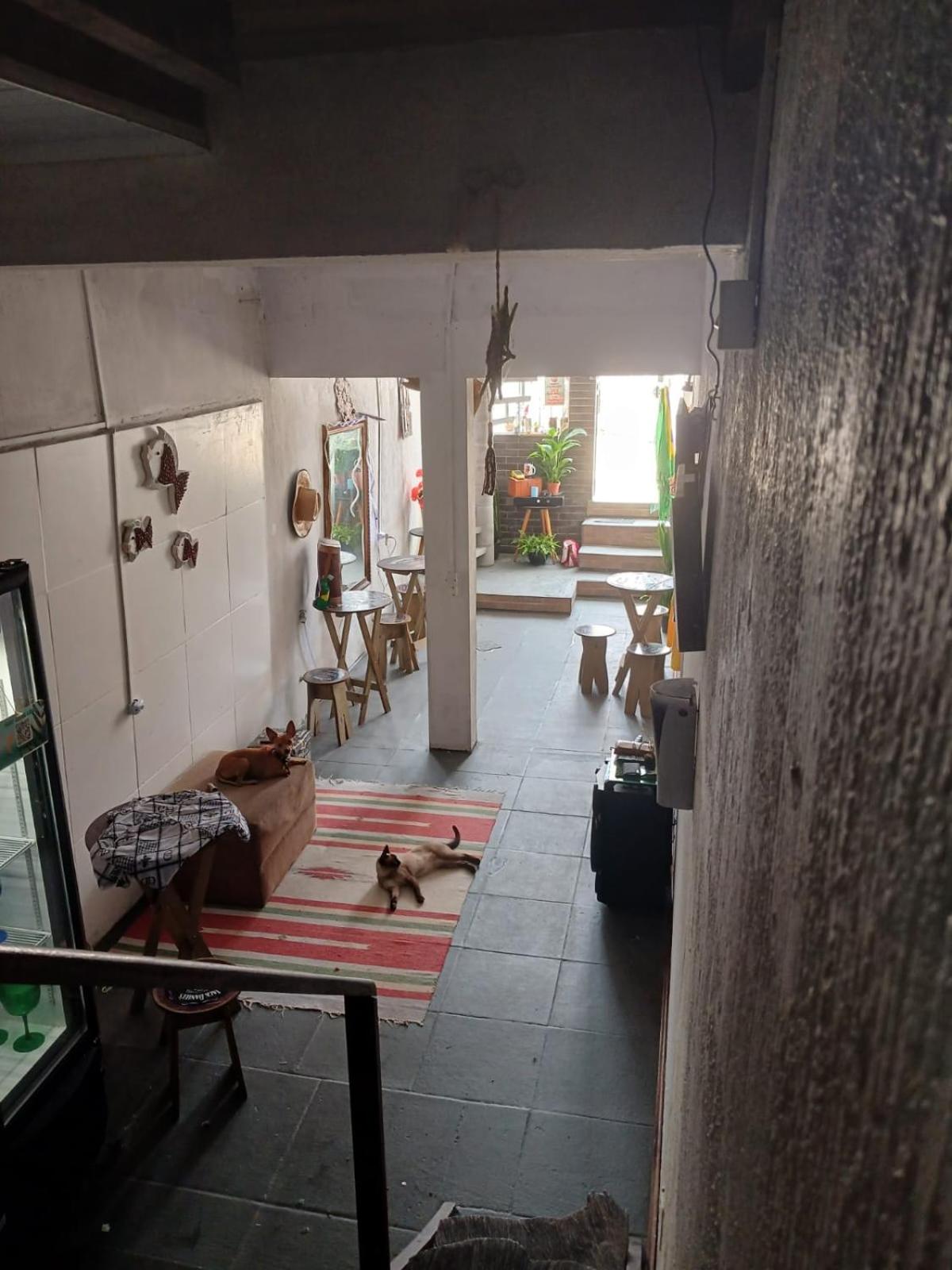 Casa Jardim Ingleses view 4