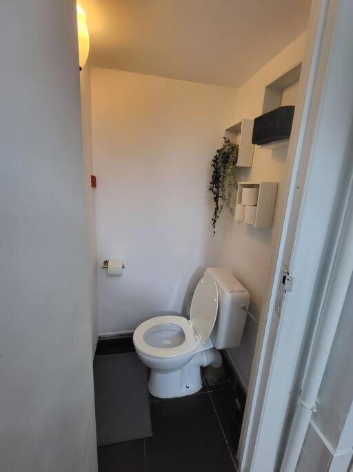 appartement style haussmannien 1 bedroom