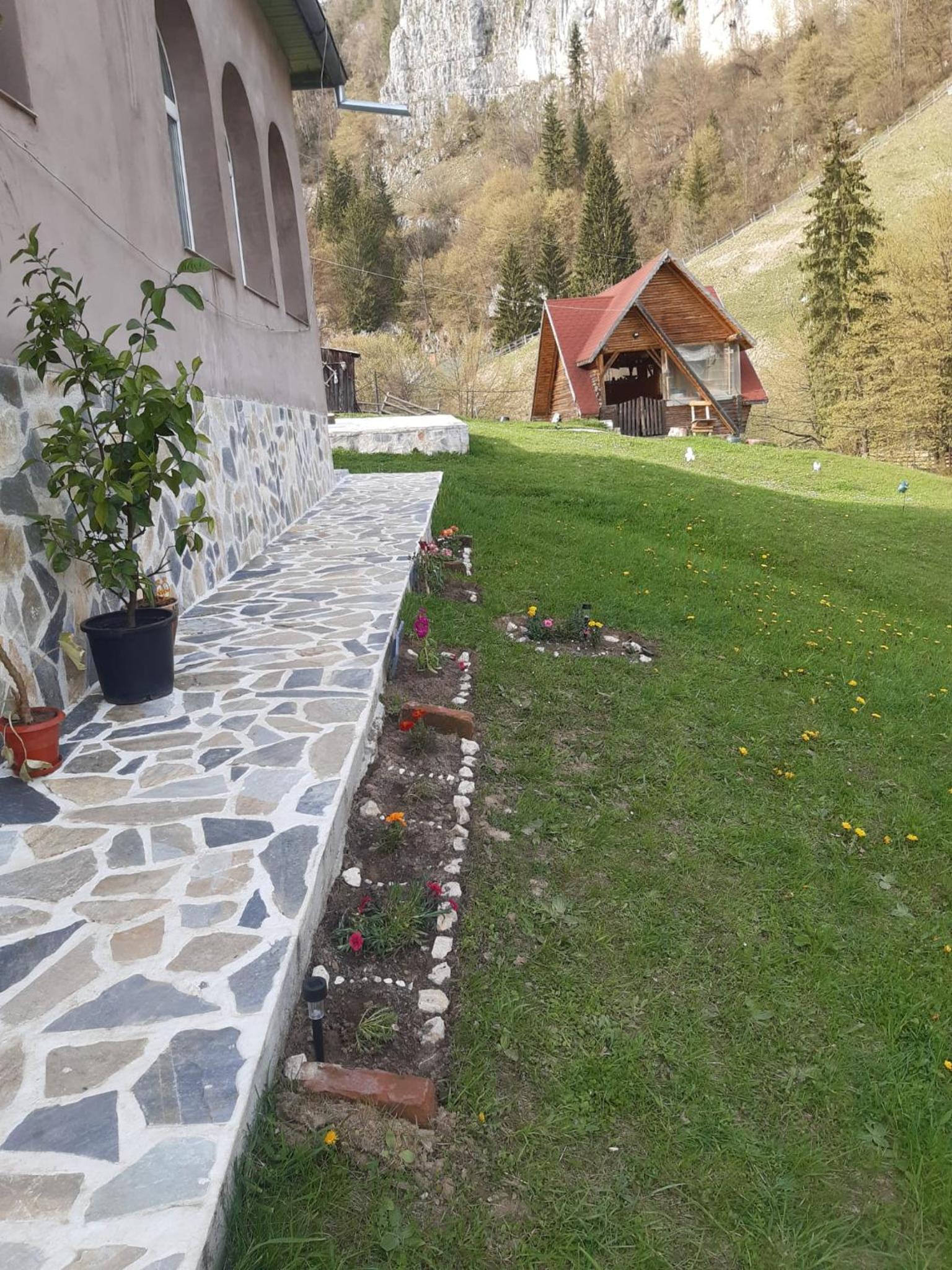 Photo 32