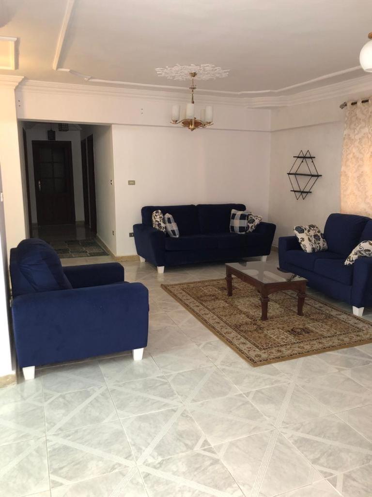 Luxury Apartment’s in Alexandria, Saba Basha view 5