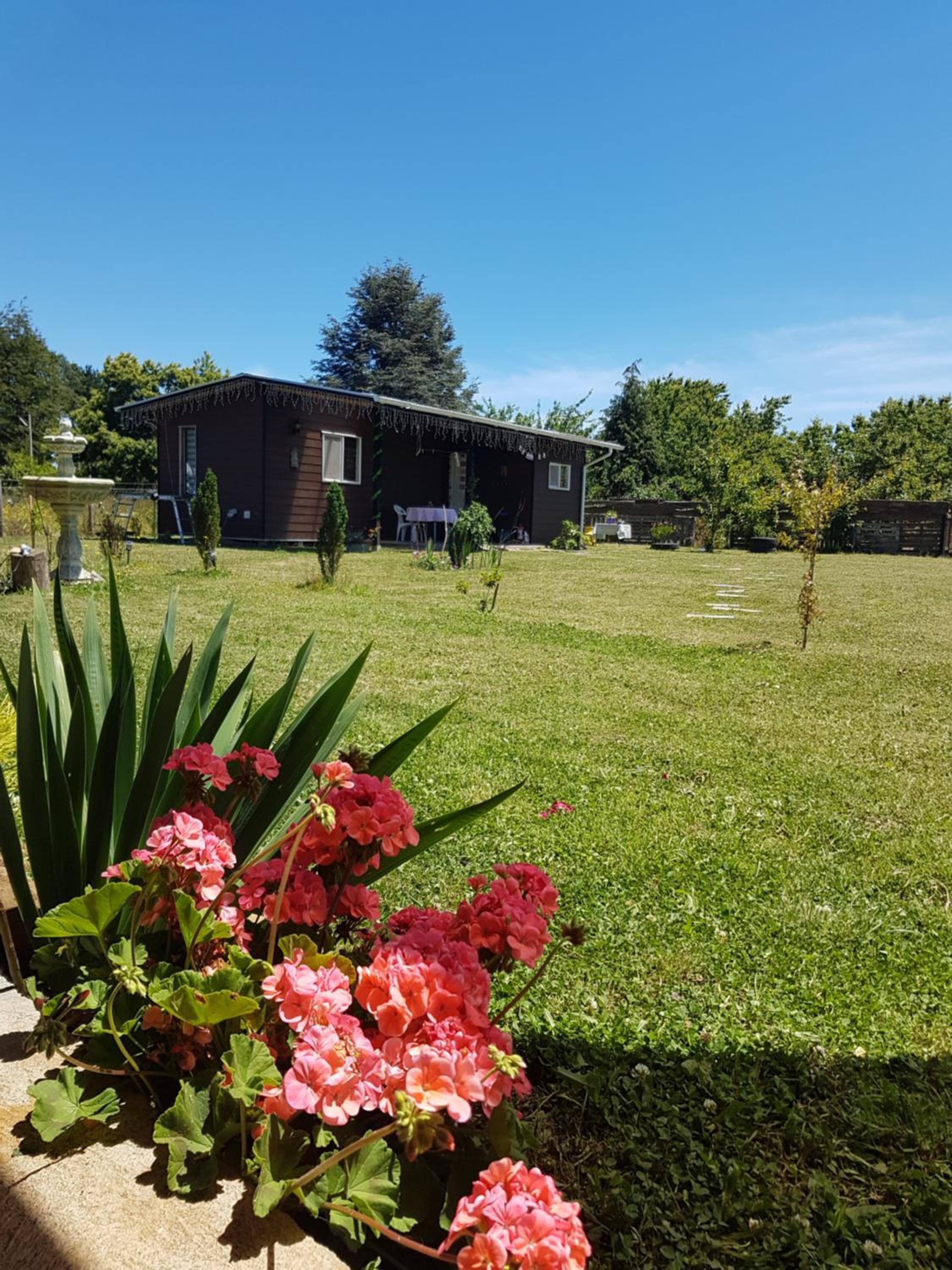 Cabaña campo Valdivia