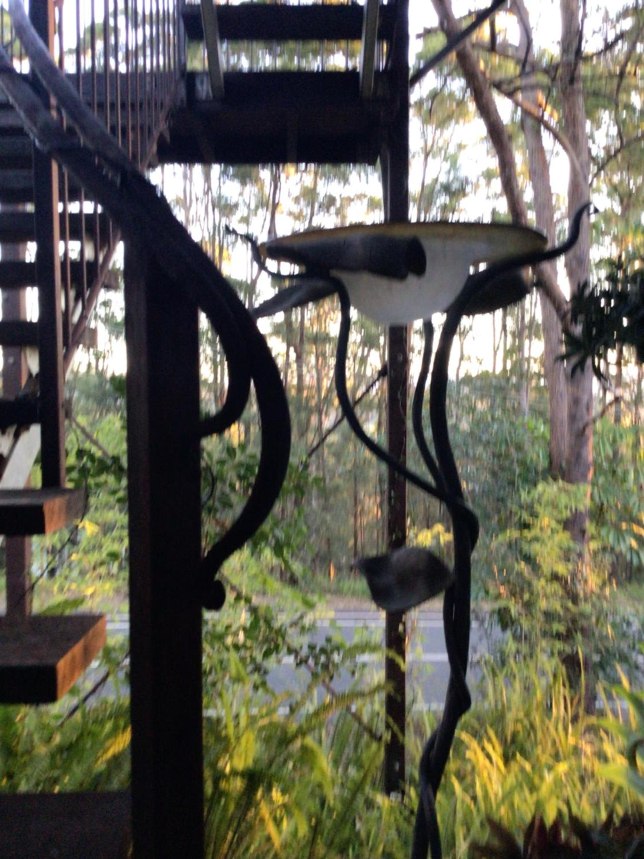 Beautifully Elevated Treehouse Apartment