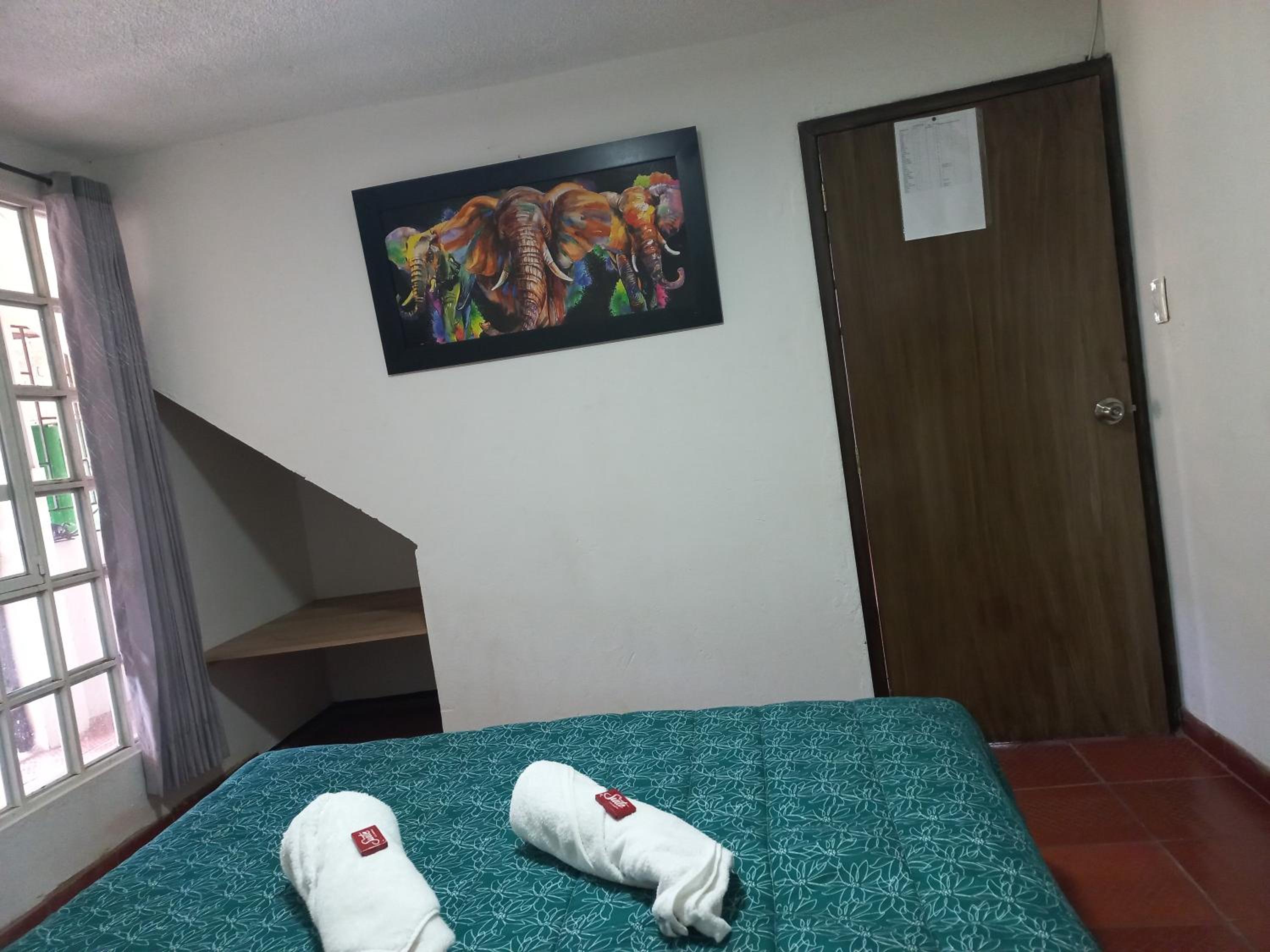 Hospedaje y Camping del Rio