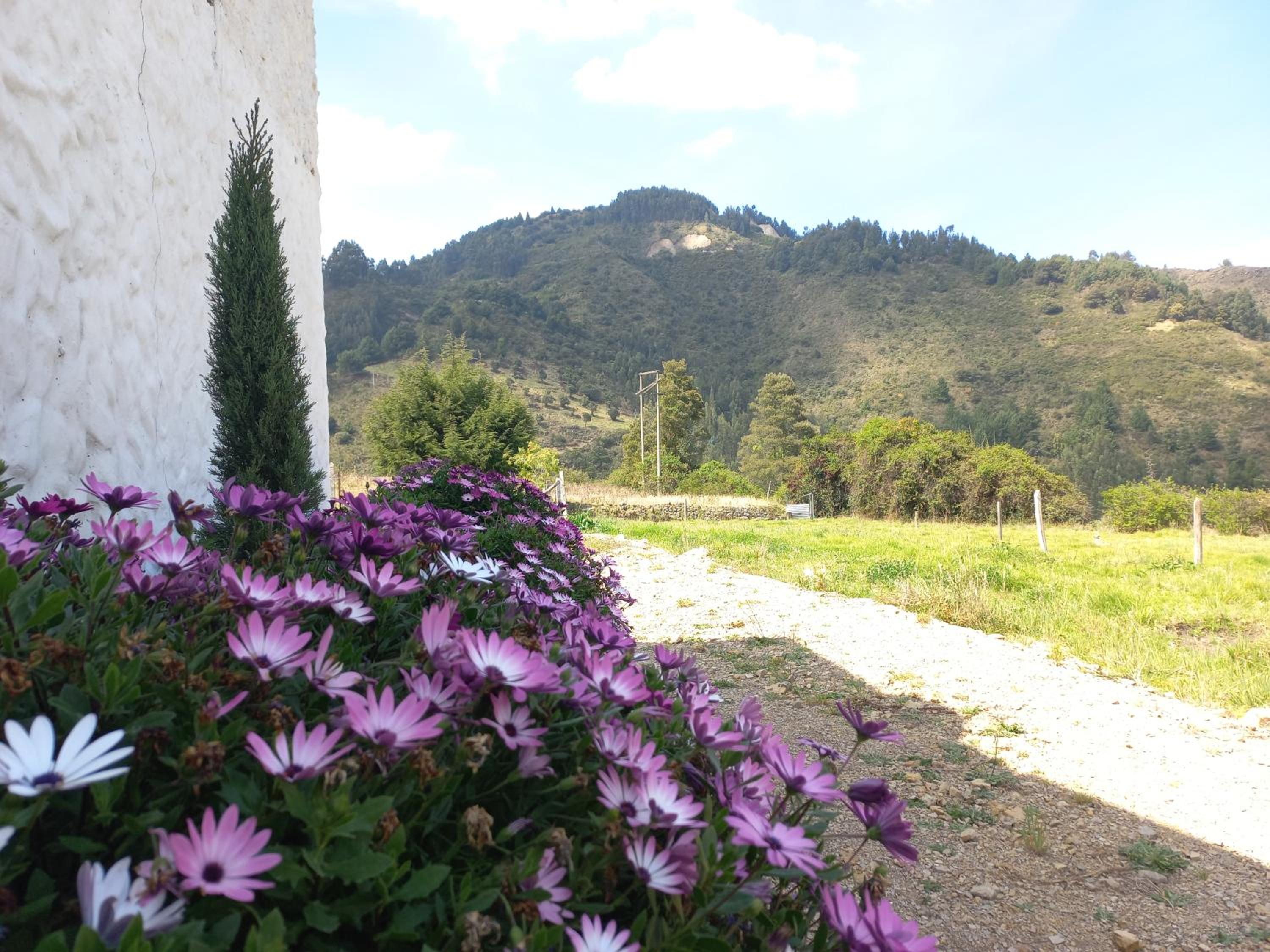 Hospedaje y Camping del Rio