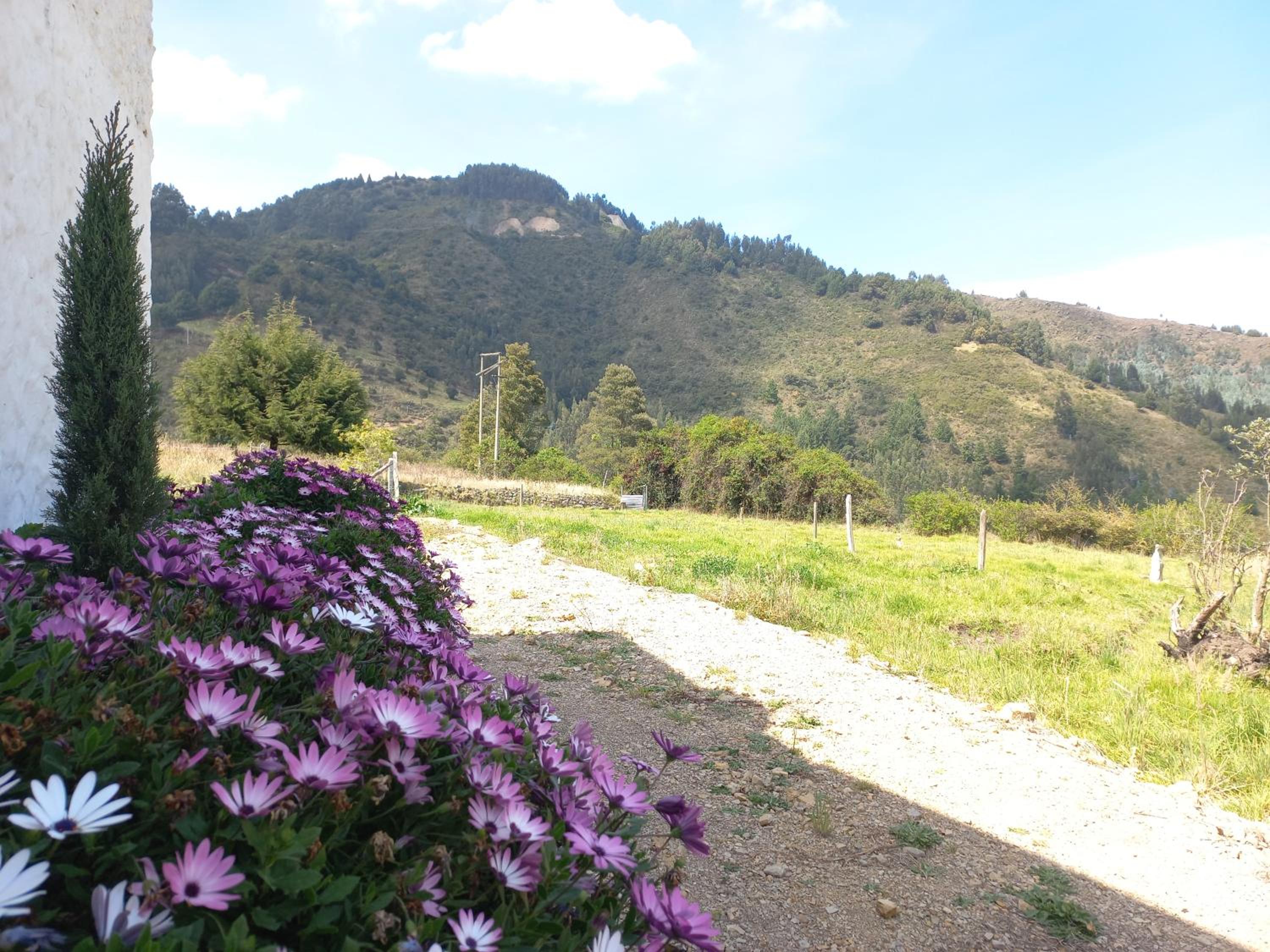 Hospedaje y Camping del Rio