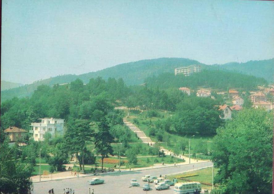 Photo 7