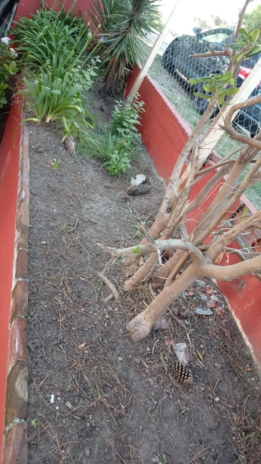 cracate 2