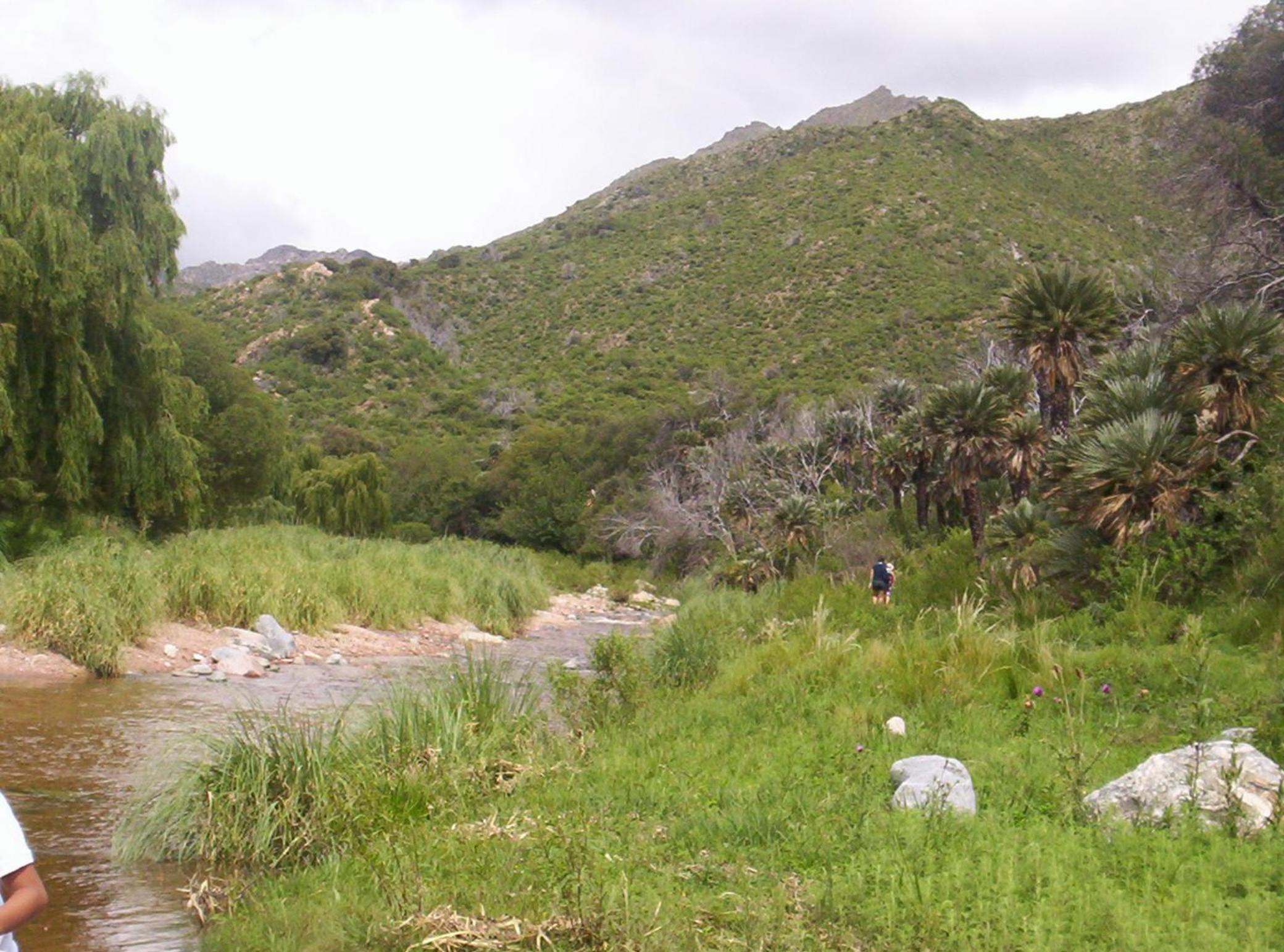 Rincón de sol