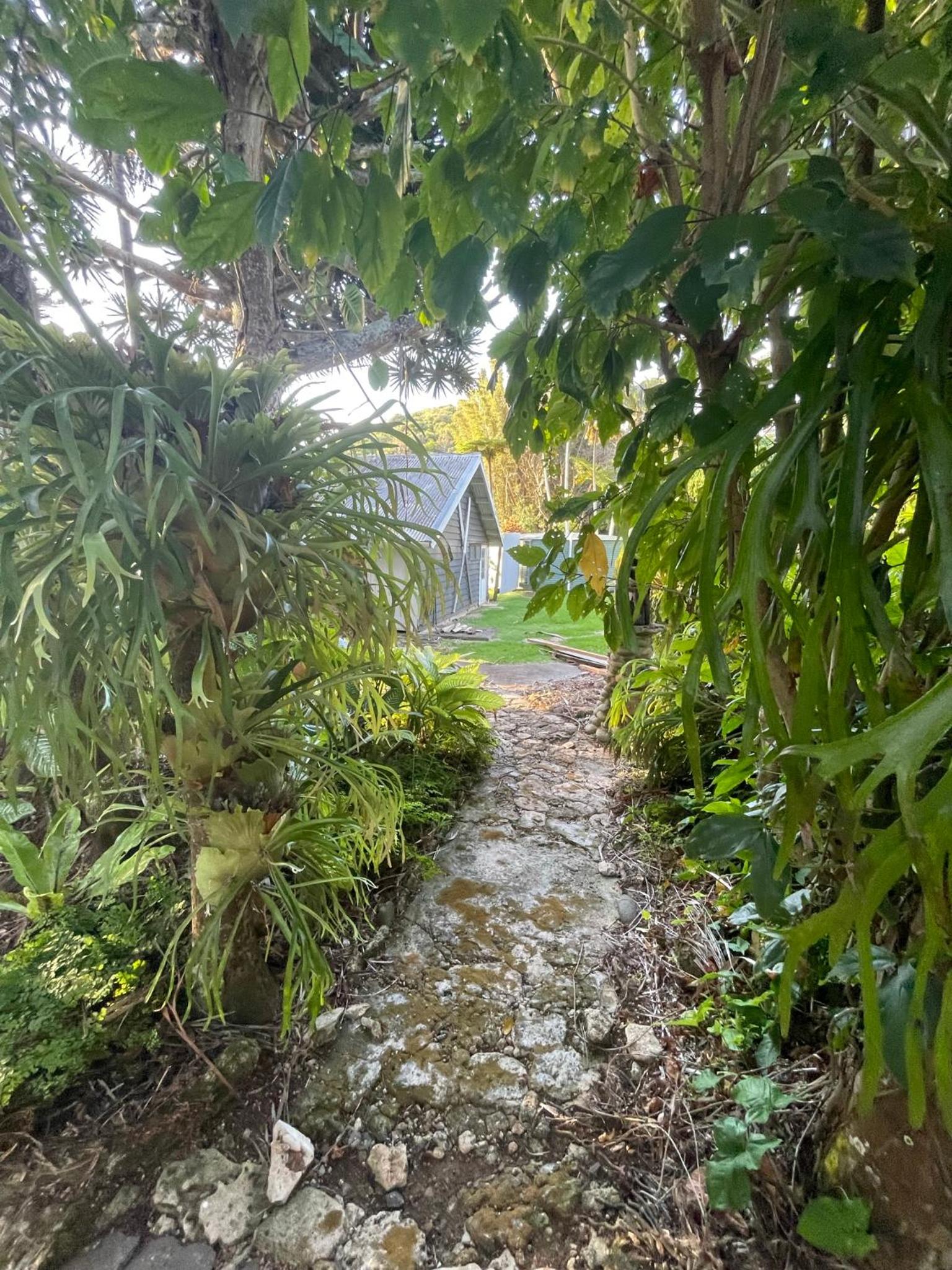 Photo 37