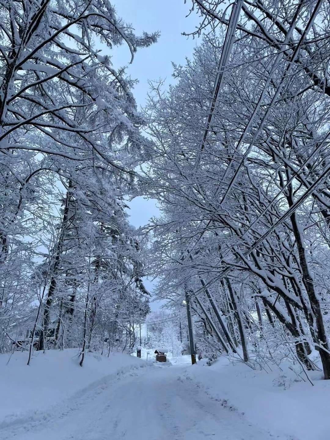 Natural Hot Spring Hakuba Symphony