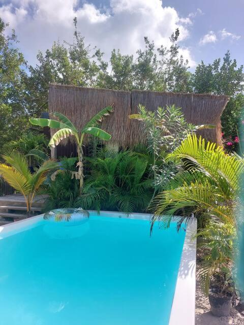 Polita Tiny House, con piscina, a 200m de la playa view 2
