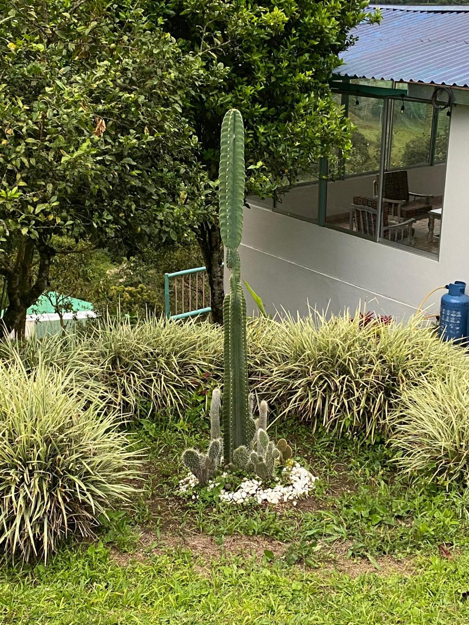 Cabaña en Boquía