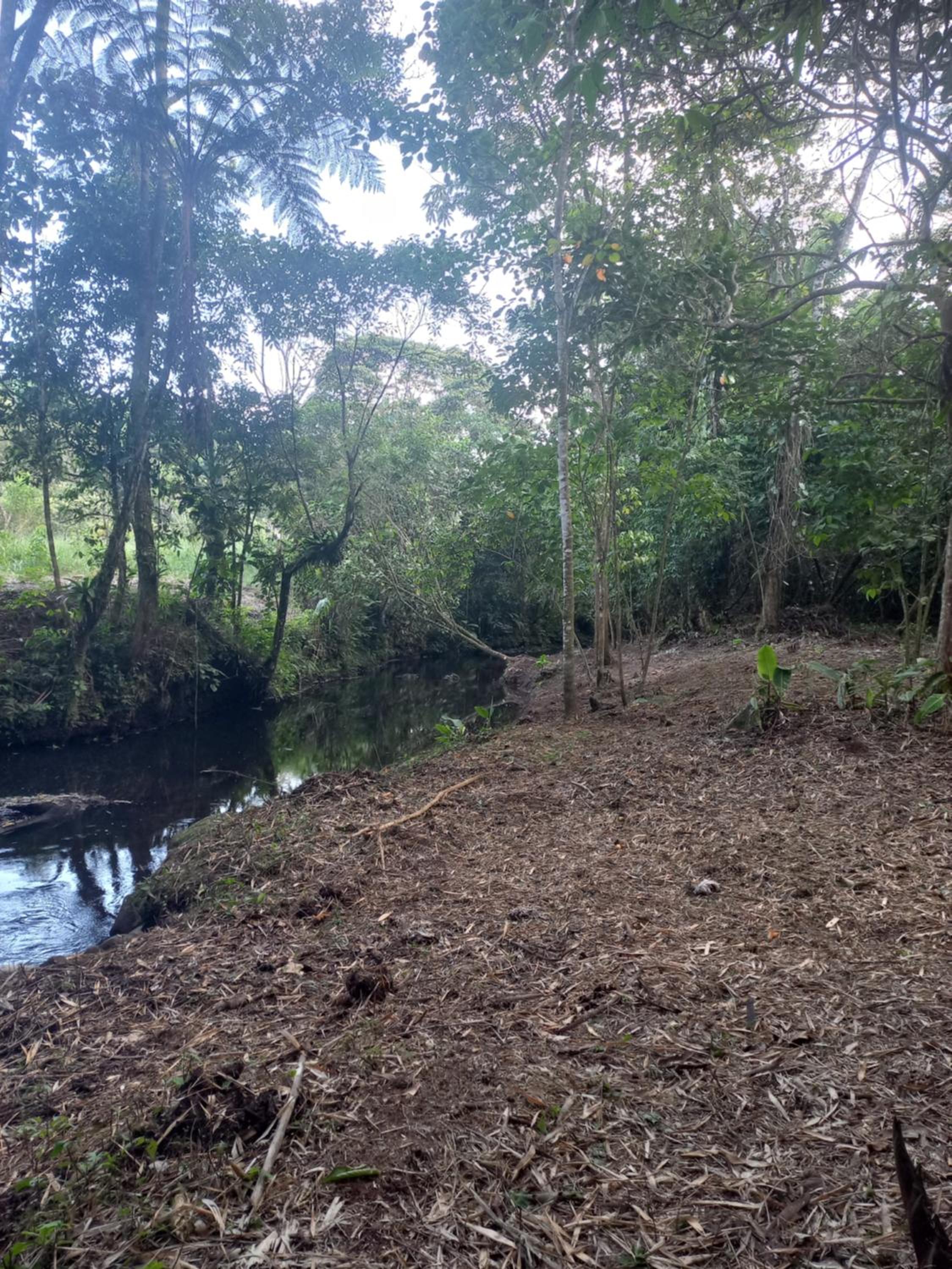 Finca La Esperanza
