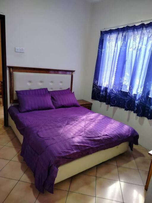 Homestay Elina - Cheap and cosy photo 2