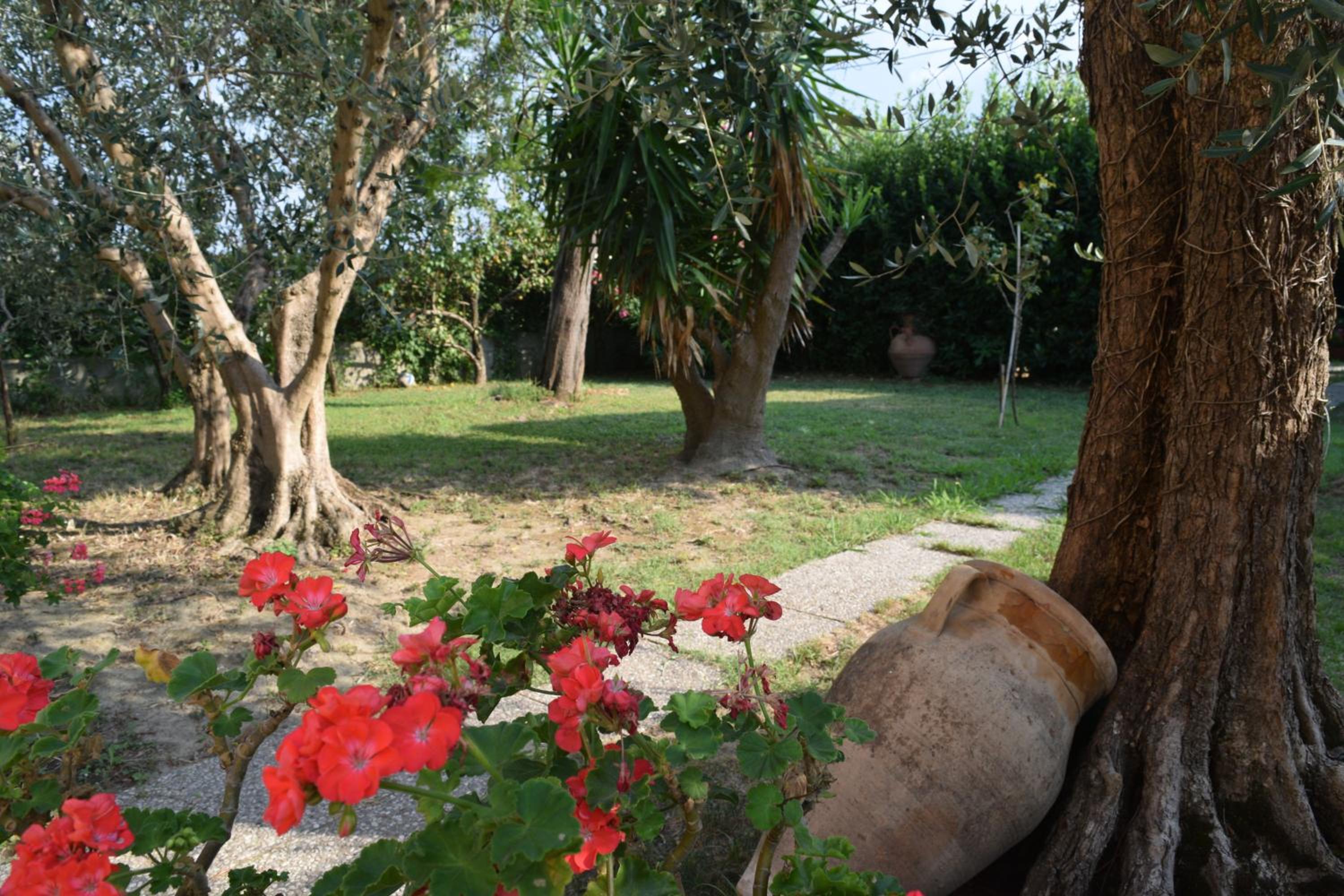La Convenienza