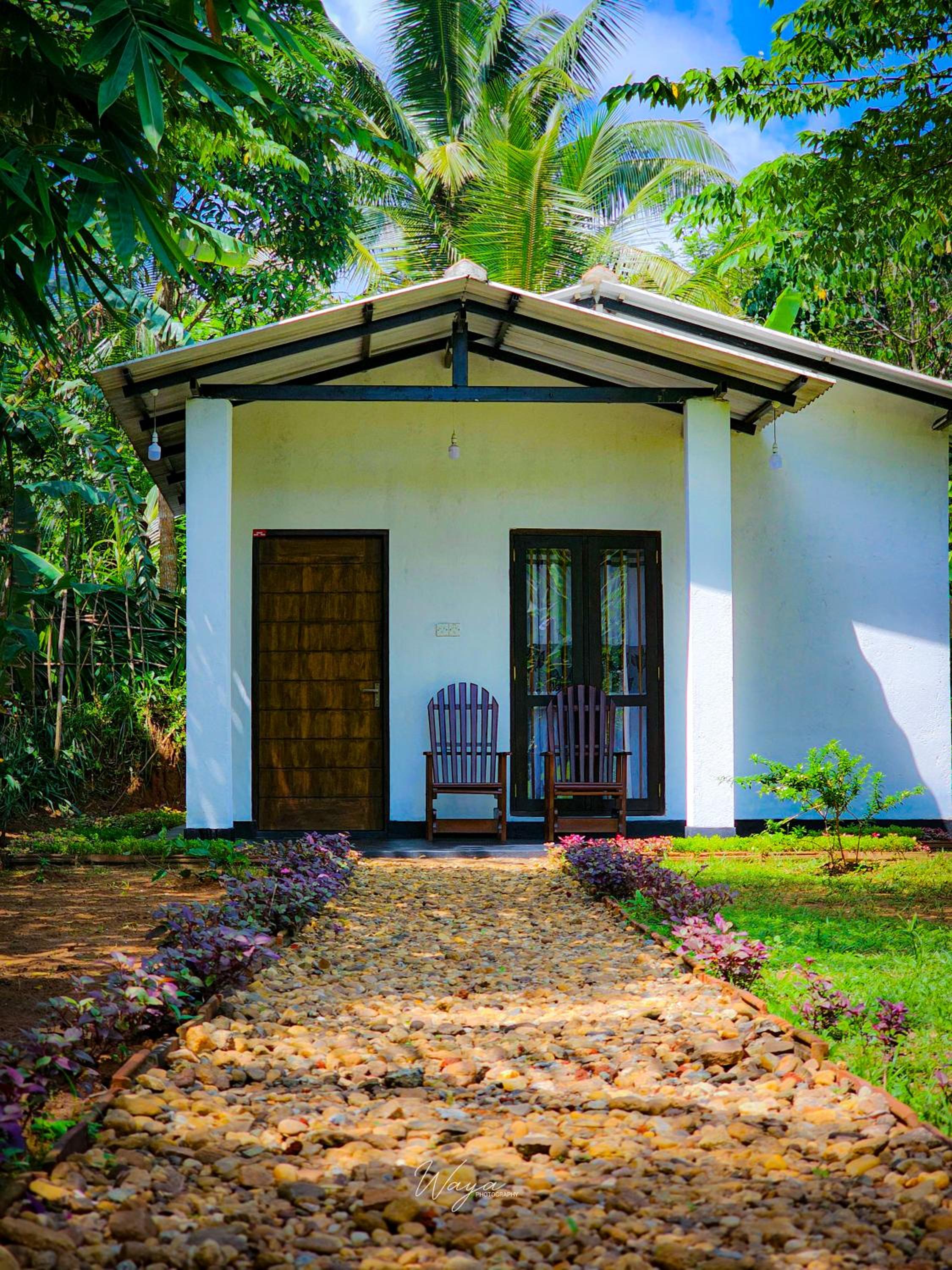 Banana Shade Cottage