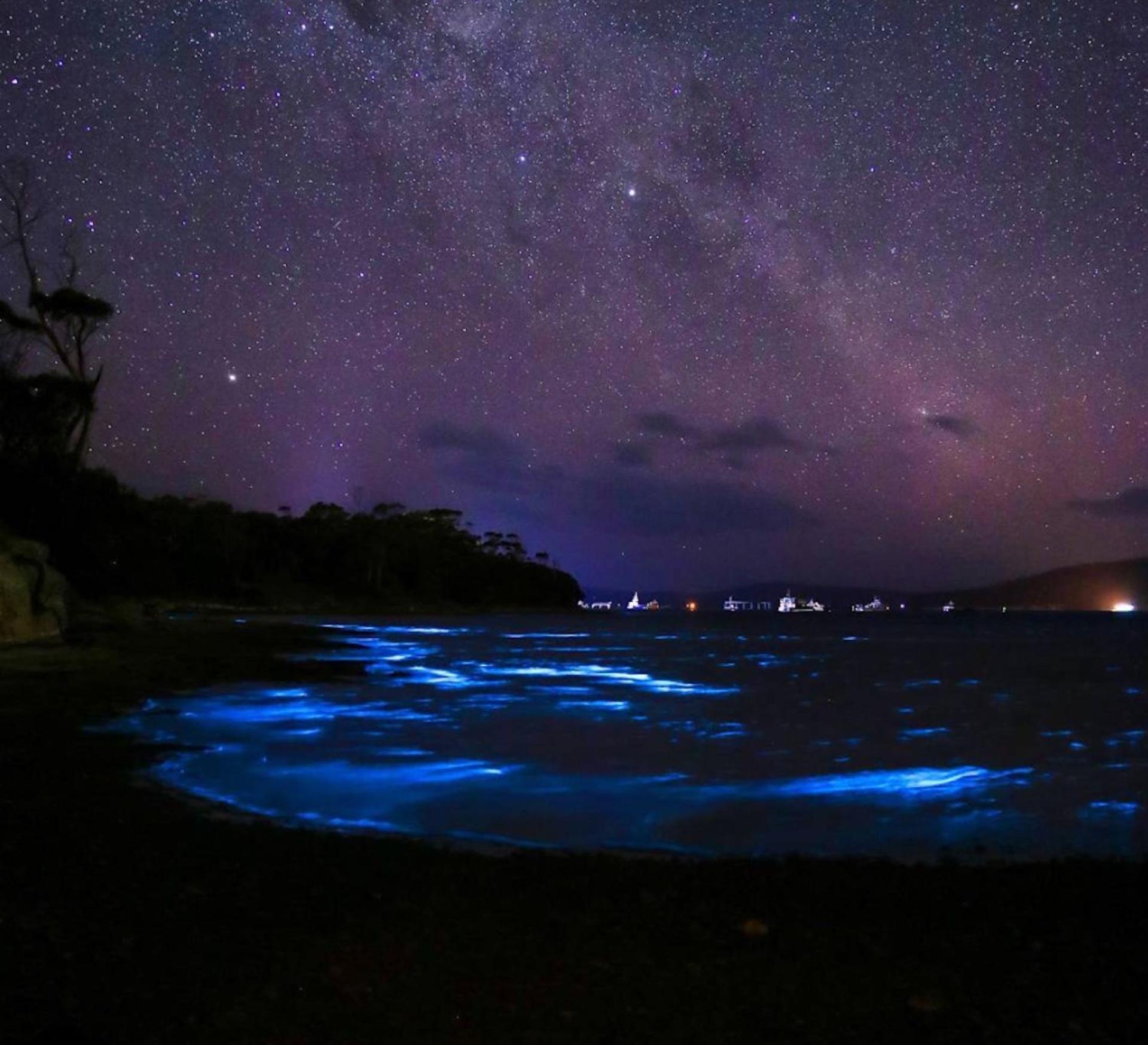 City Escape Taroona - Property Image 7