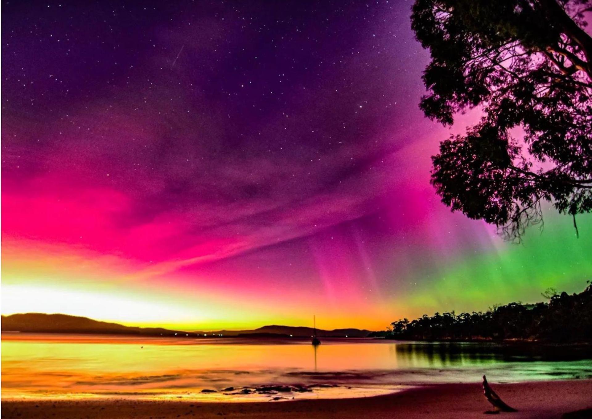 City Escape Taroona - Property Image 8