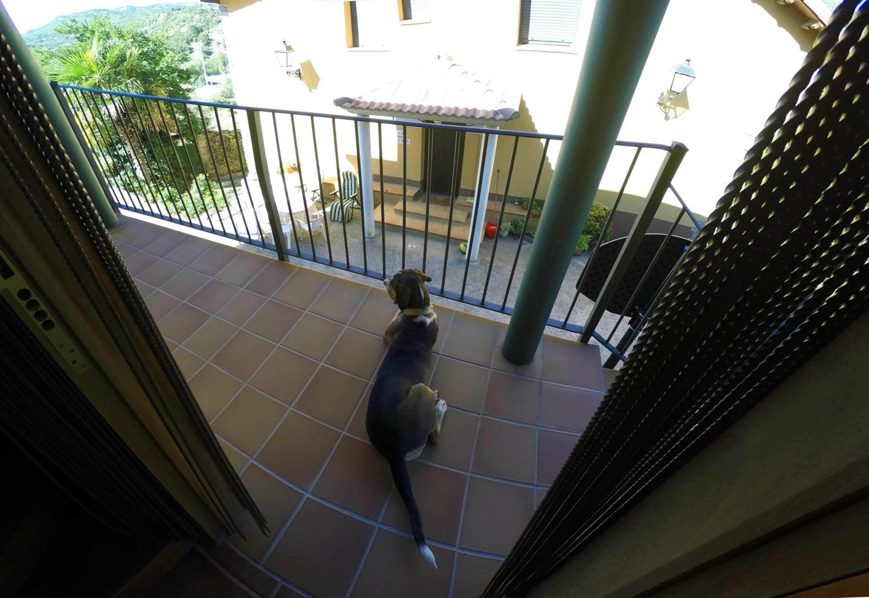 Photo 46
