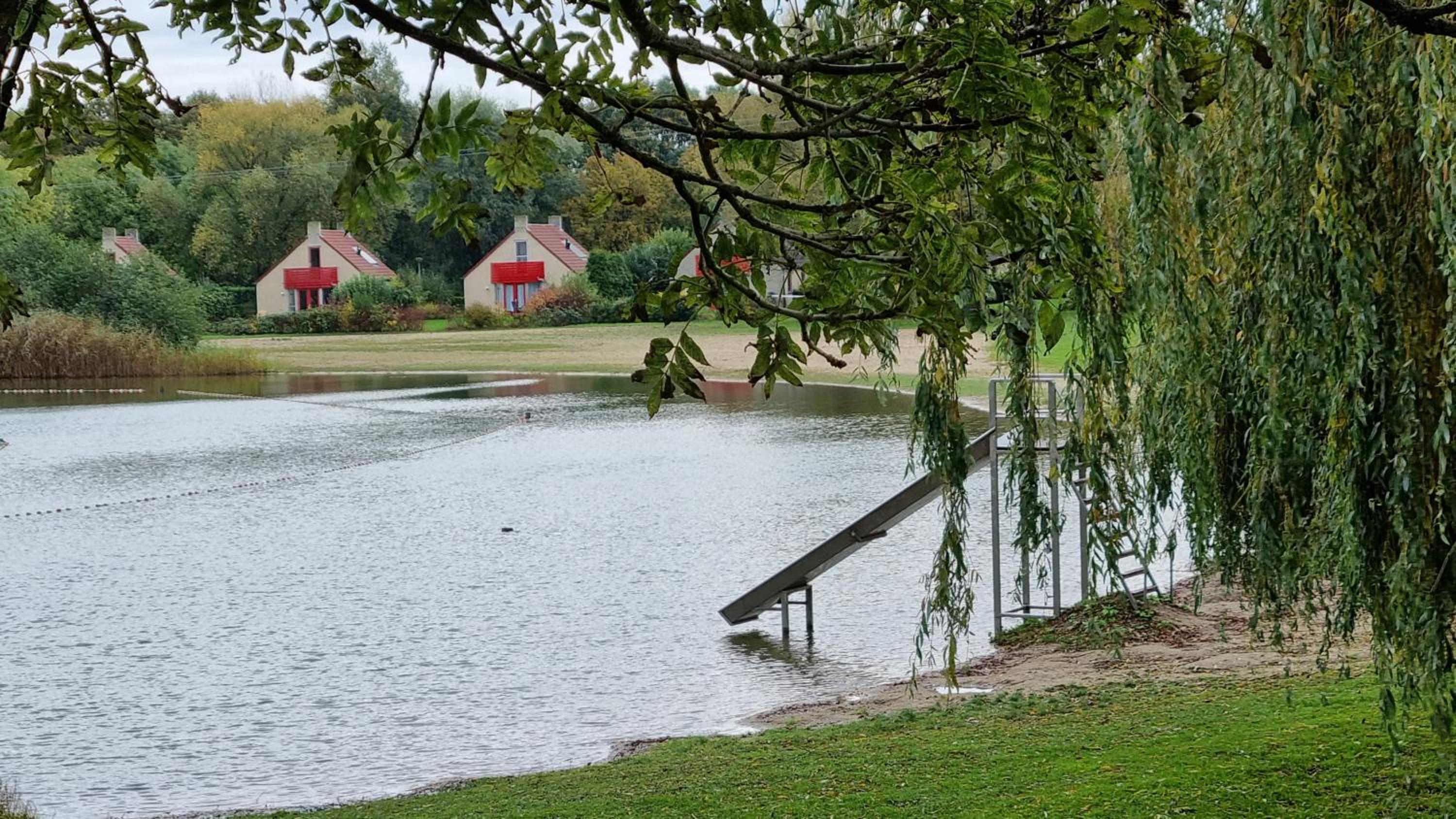 Photo 43